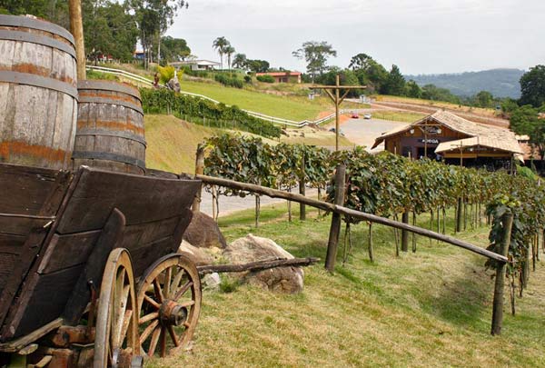 0901-turismo-rota-monte-cuco