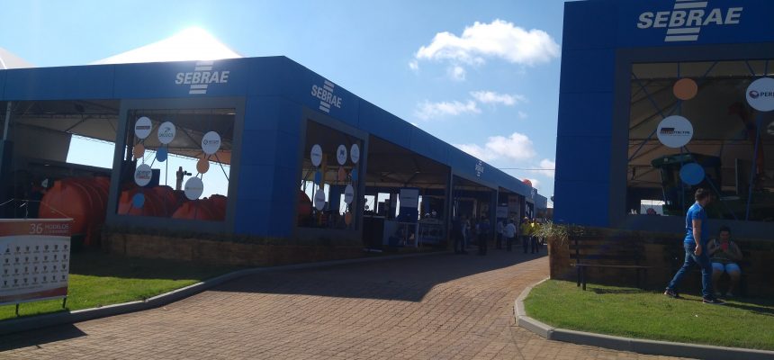 stand_sebrae_expodireto_2018__2__1550839293557