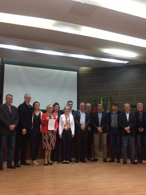 casos-traumatologia-saocarlos20191