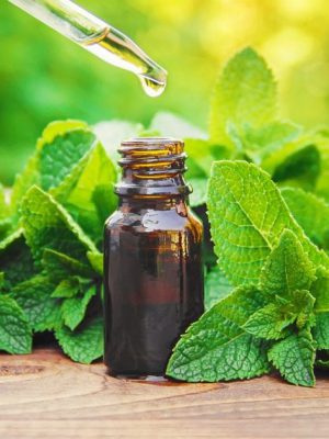 emater-2021-curso-plantas-medicinais-1024x629